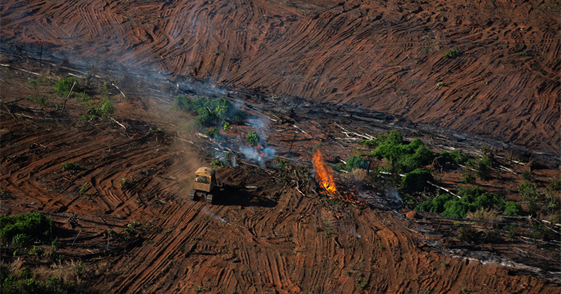 Áreas desmatadas por garimpo aumentaram 90% na Amazônia