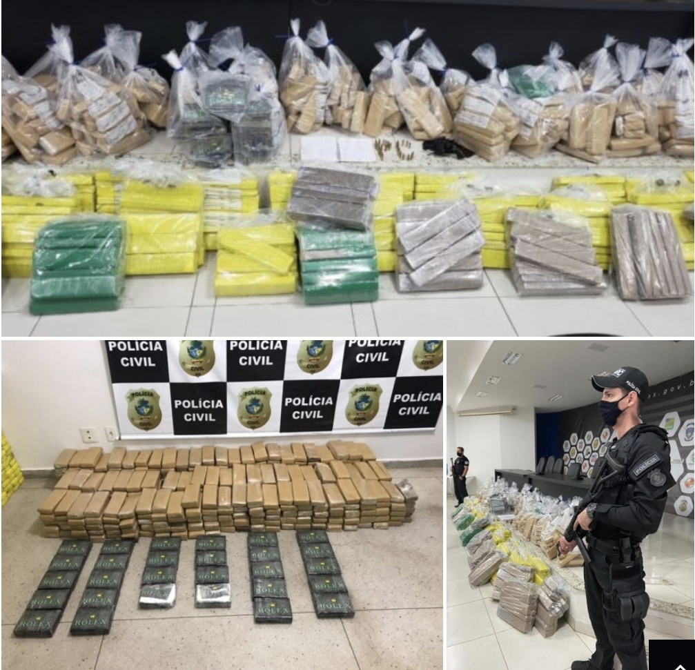 Polícia Civil apreende 800 kg de maconha e 28 kg de cocaína em Senador Canedo