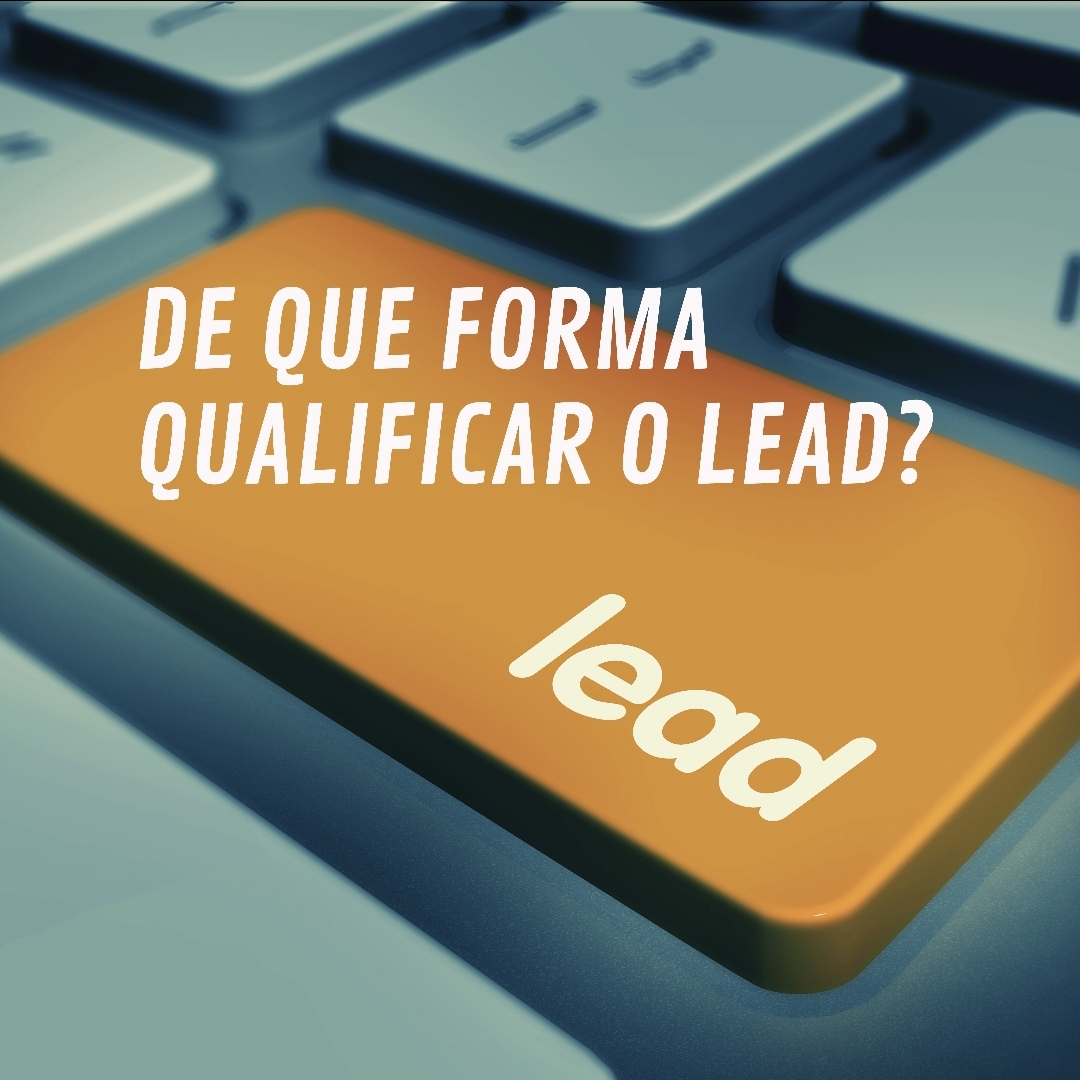 De que forma qualificar o Lead?, por Vivian Perpétuo