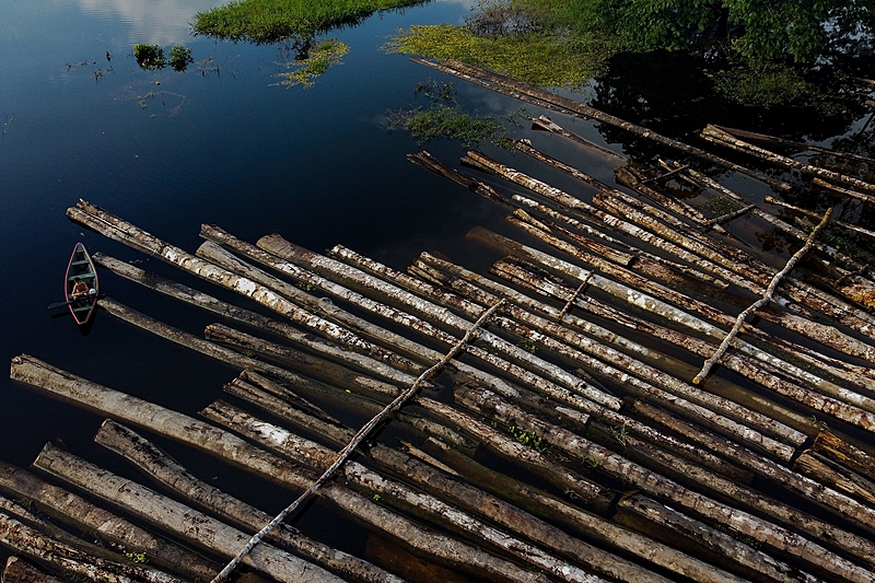 Área derrubada da Amazônia em terras indígenas e protegidas é 3 vezes maior que a cidade de São Paulo