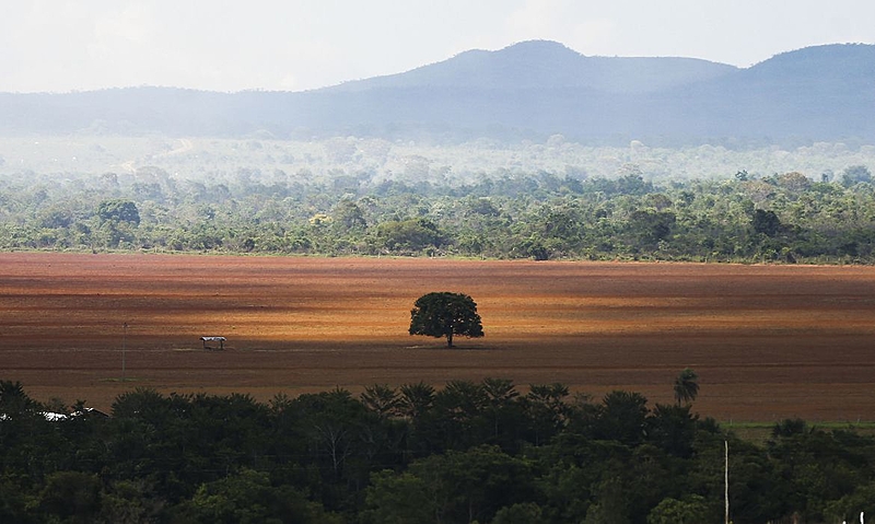 MST coleta assinaturas em defesa da biodiversidade no Mato Grosso
