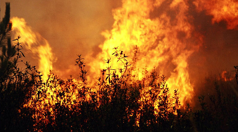 Desmonte do IBAMA e outros órgãos de fiscalização tem relação direta com queimadas, grilagem de terras e garimpo ilegal