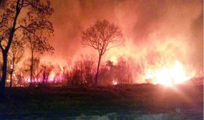 Incêndio consome 15% da área do Parque Estadual Terra Ronca