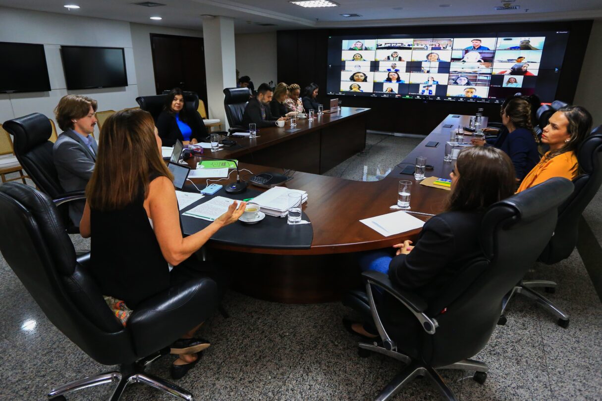 Imagem destacada do post: Gracinha Caiado faz balanço das atividades da OVG