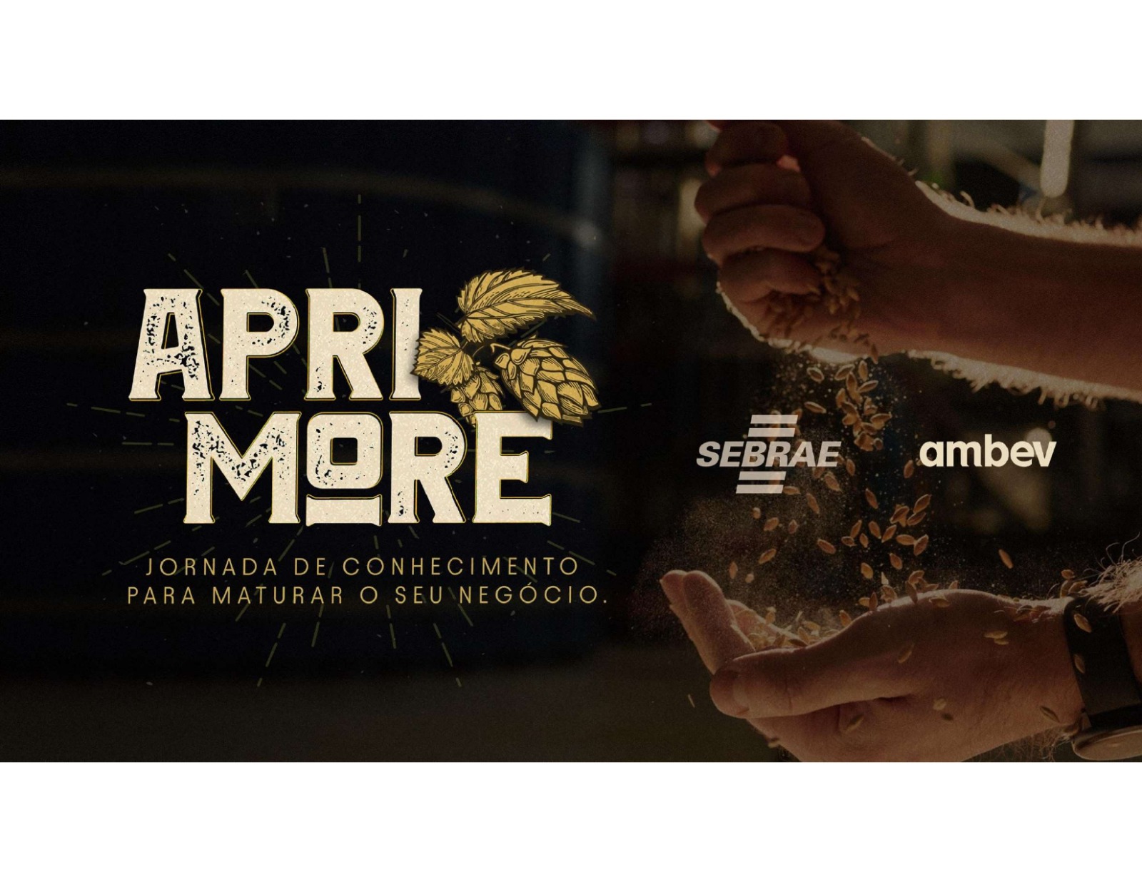 Imagem destacada do post: Sebrae-GO e Ambev lançam programa de desenvolvimento de cervejarias artesanais