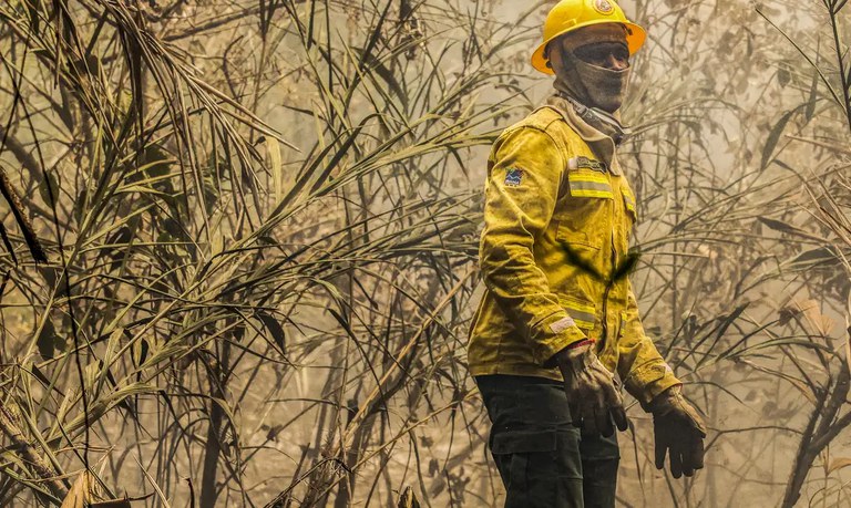 Imagem destacada do post: 90% dos incêndios no Pantanal já estão sob controle ou extintos