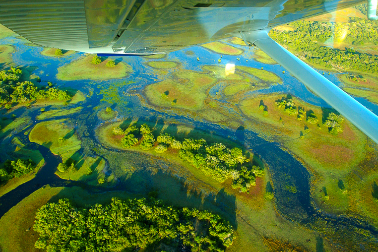 Imagem destacada do post: Cai 75% o desmatamento no Pantanal