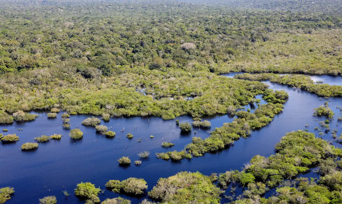Imagem destacada do post: Desmatamento cai 32,4% no Brasil em 2024