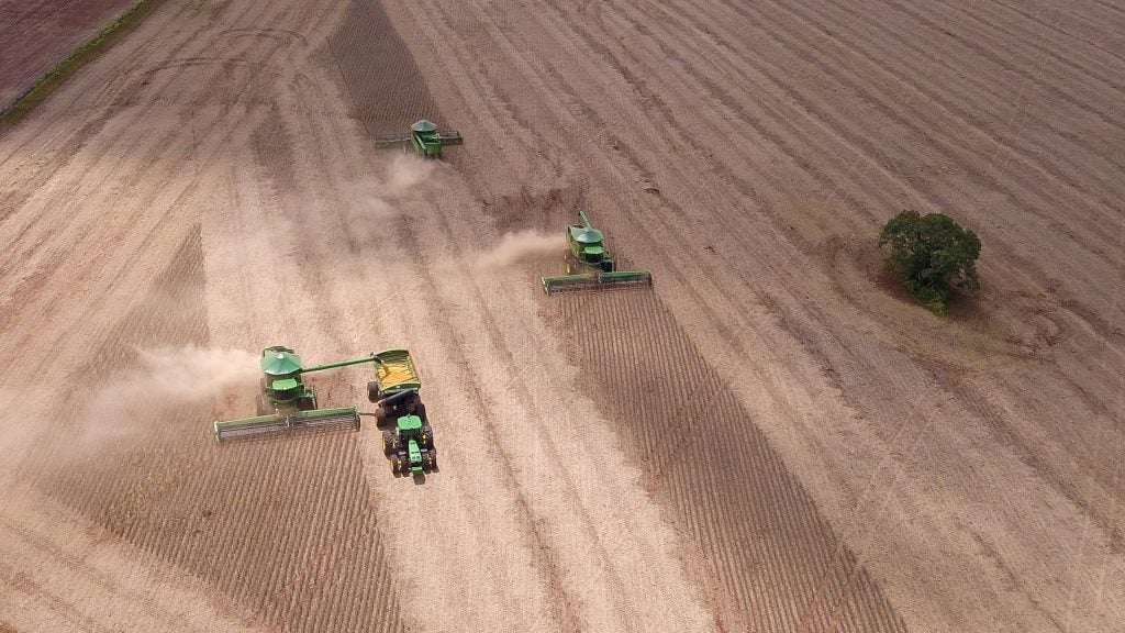Imagem destacada do post: Por que a comida no Brasil fica cada vez mais cara se a safra do agro está cada vez maior?