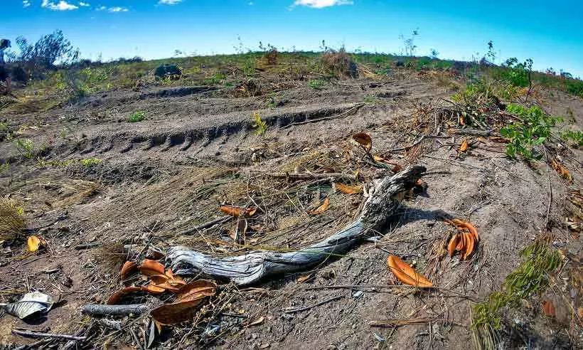 Imagem destacada do post: Fazendeiros desmantam área de cerca de 1 mil hectares com correntão no Território Kalunga