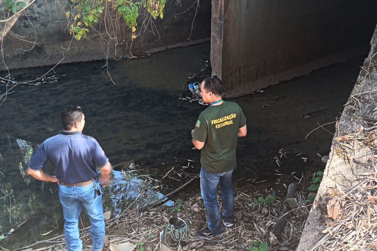 Imagem destacada do post: Semad investiga morte de peixes na região do Saltador, em Palminópolis