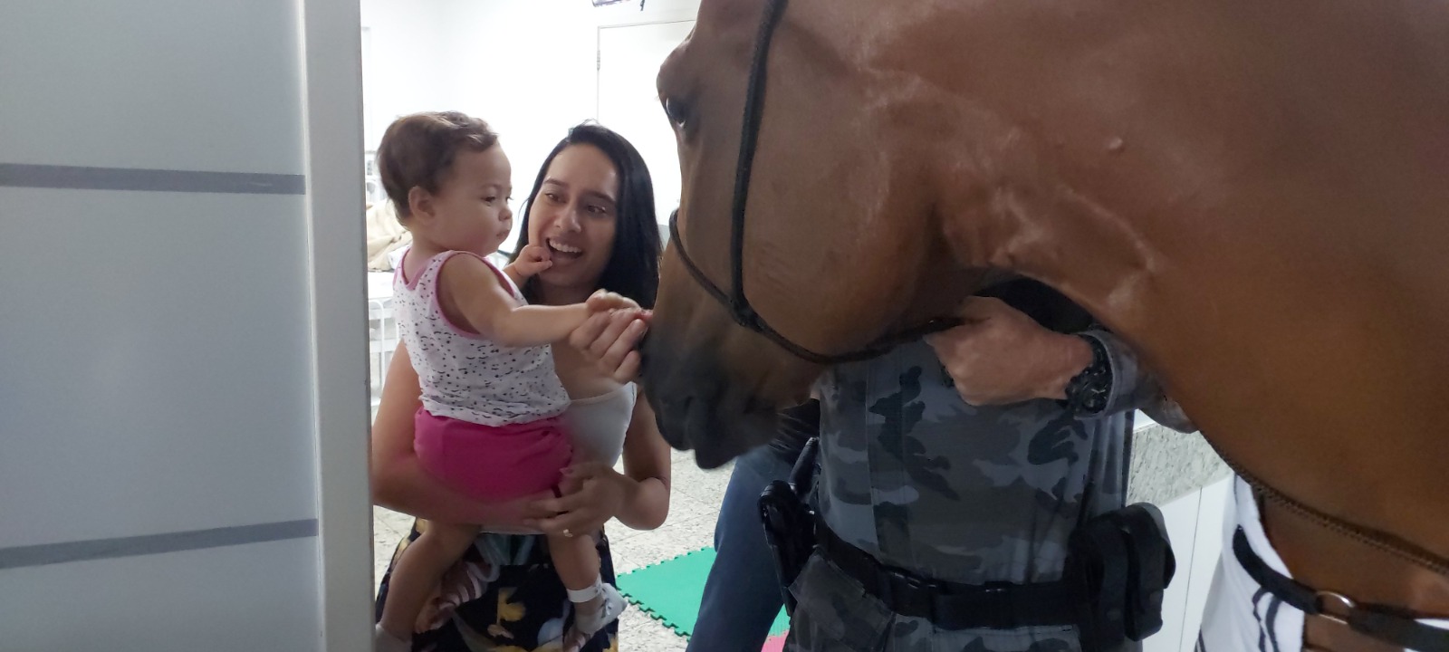 Imagem destacada do post: Projeto com cavalos da PM leva humanização e cuidado emocional ao HMAP