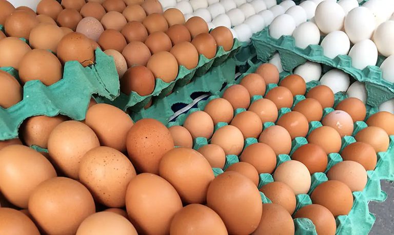 Imagem destacada do post: IBGE: Com preços de alimentos em queda, inflação fica em 0,24% em junho