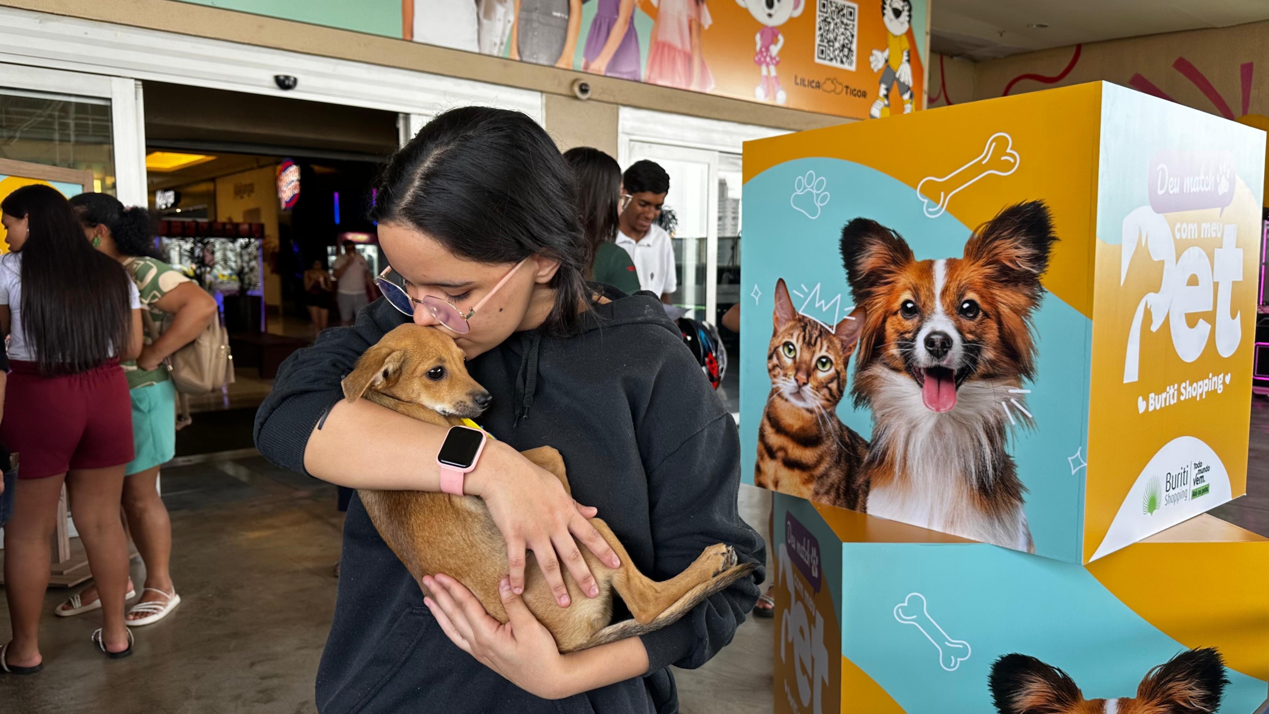 Imagem destacada do post: Em tempo recorde, 38 cães e gatos são adotados em Aparecida