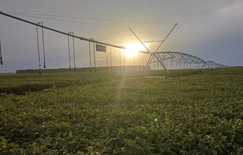 Imagem destacada do post: Vale do Araguaia é destaque na produção agrícola
