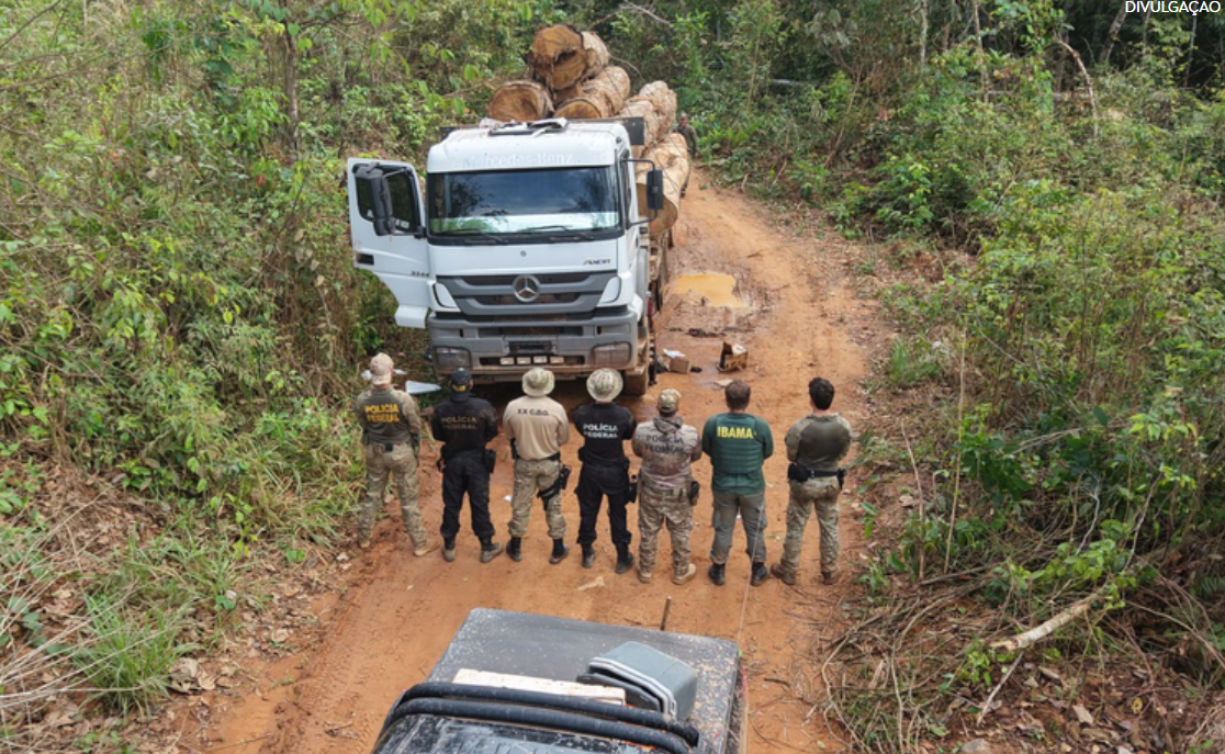 Imagem destacada do post: PF e Ibama prendem quadrilha que roubava madeira em terra indígena