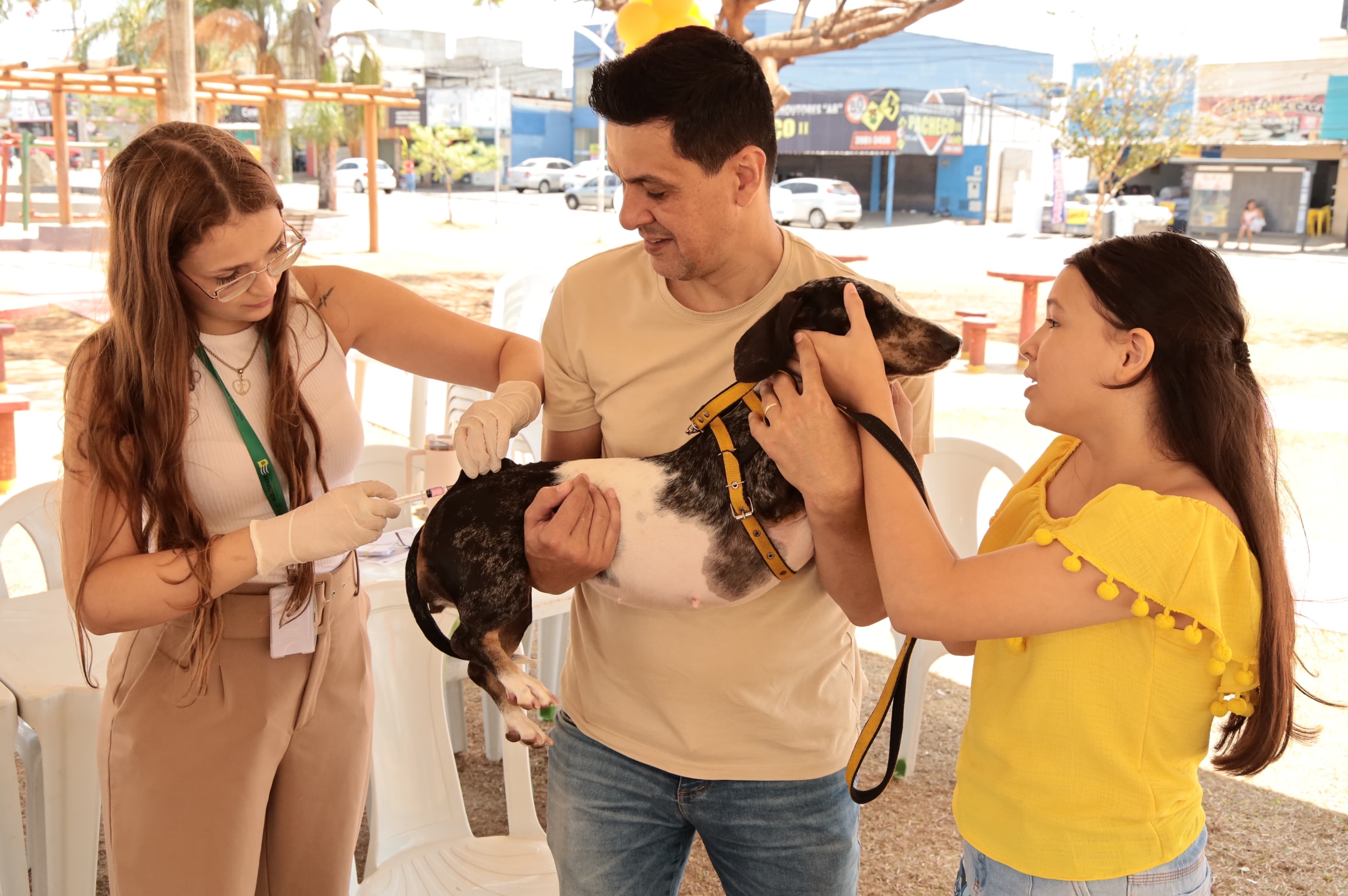 Imagem destacada do post: Vacinação antirrábica imunizou 70 mil cães e gatos em Aparecida