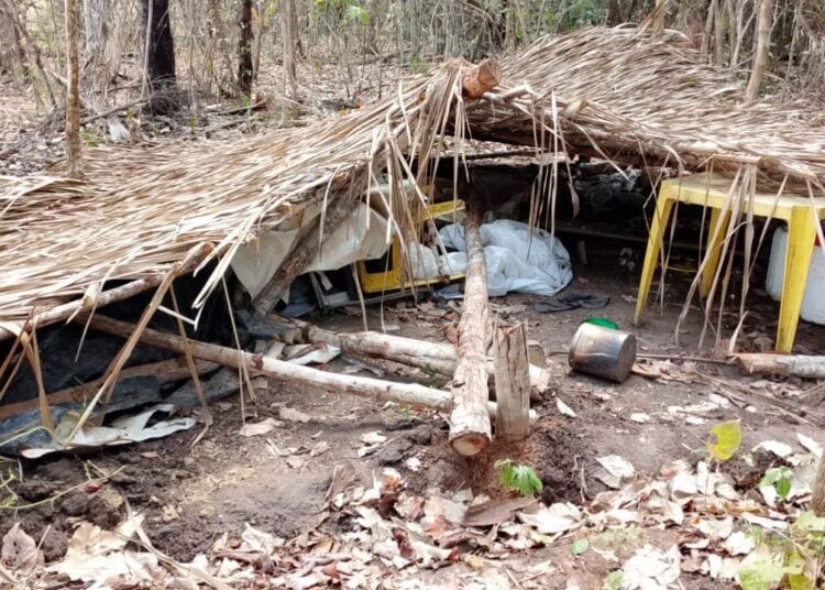 Imagem destacada do post: Grileiros destroem barraco e ateam fogo em assentamento no Tocantins