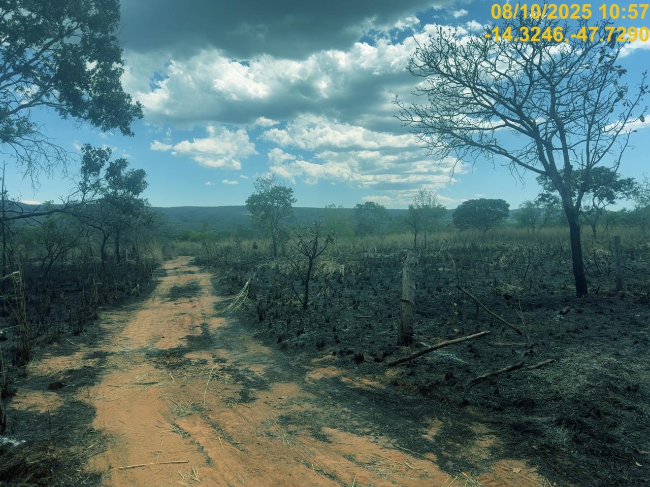 Imagem destacada do post: Incêndios na Chapada dos Veadeiros: 30 proprietários investigados
