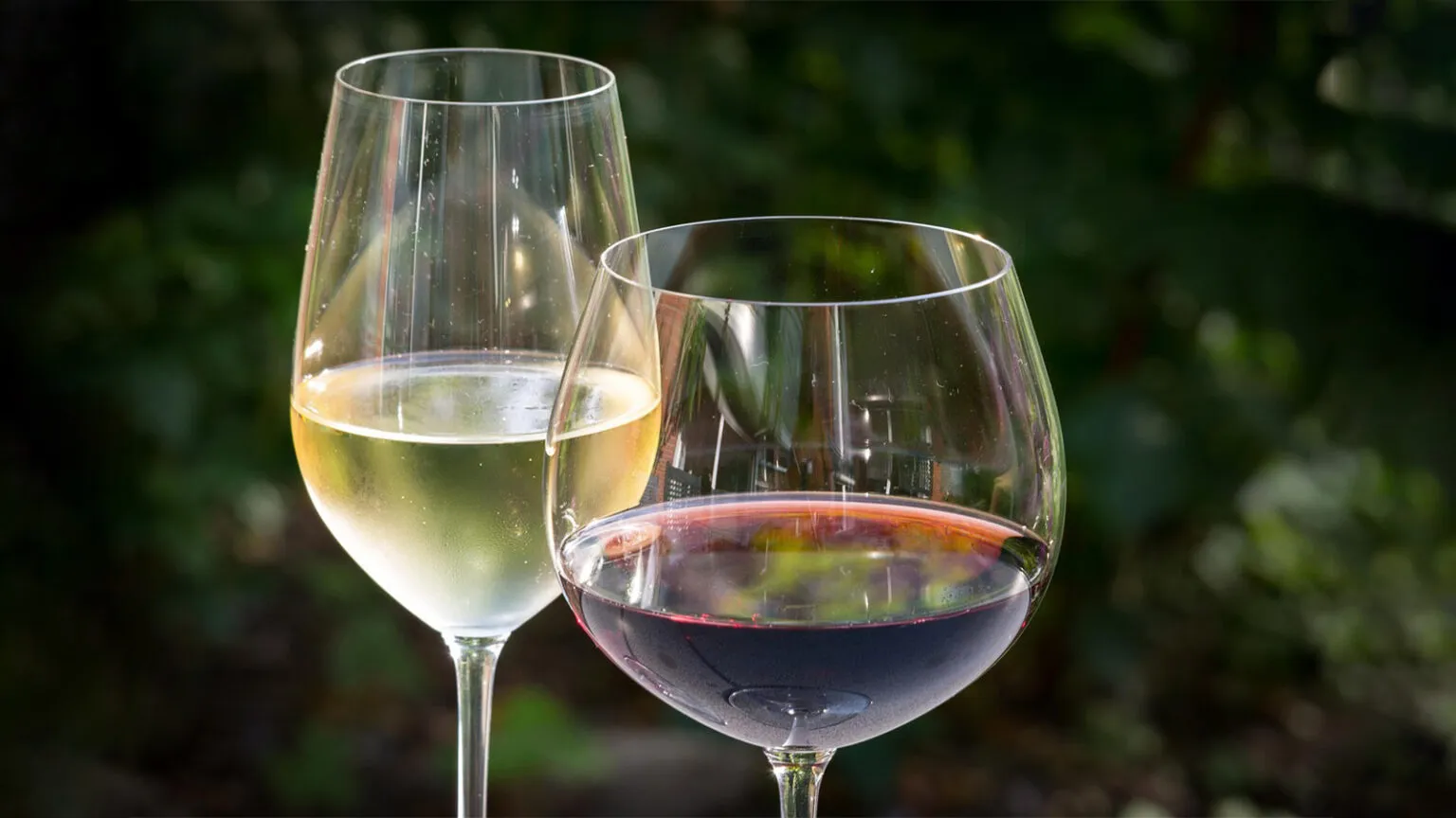 Imagem destacada do post: Cerveja e vinho podem estar contaminados com metanol? Saiba mais