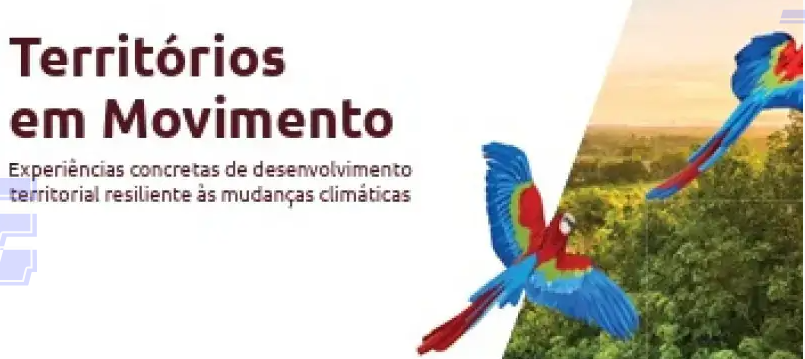Imagem destacada do post: Sebrae apresenta na COP30 experiências agroecológicas de Goiás