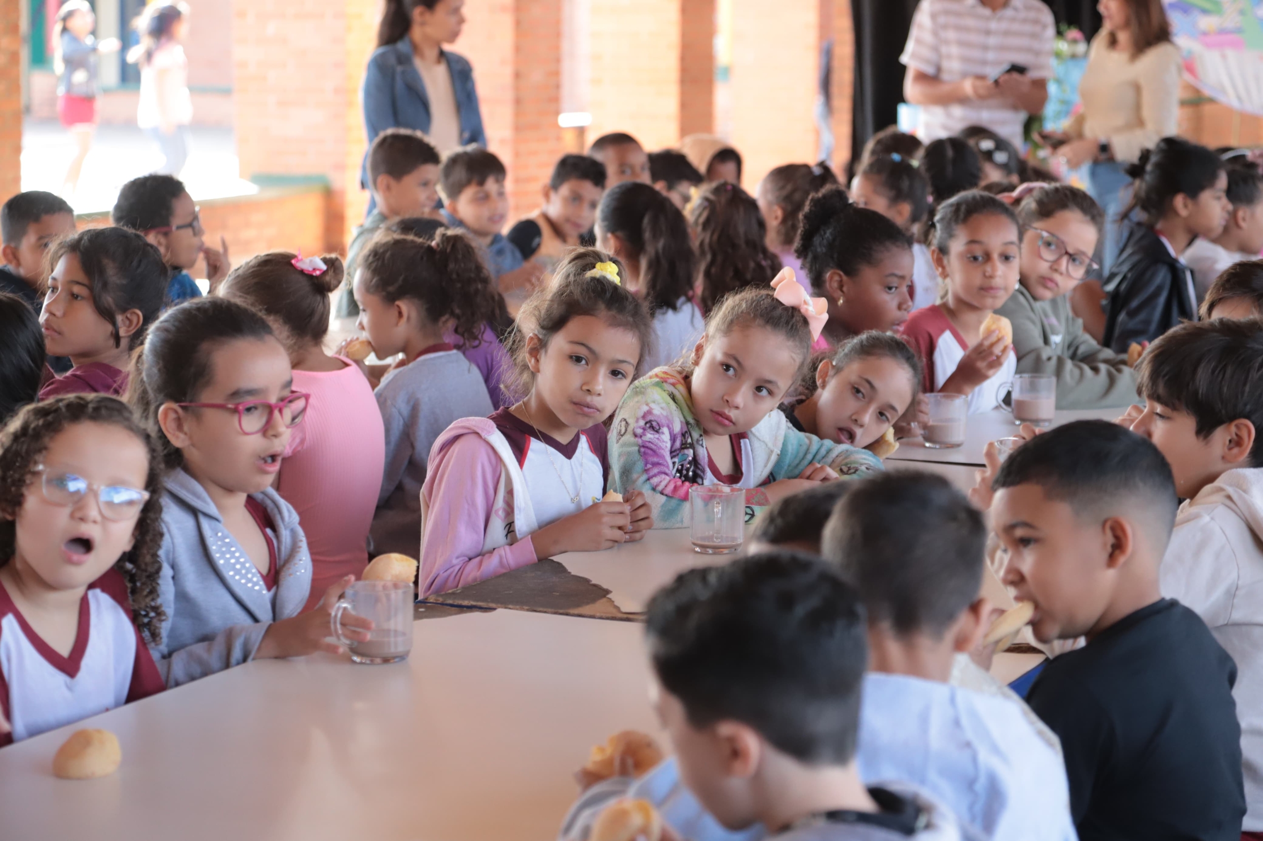 Imagem destacada do post: Educação divulga prazos de renovação de matrícula nos CMEIs e escolas